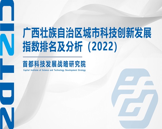 中国女人肏屄大黄片免费看【成果发布】广西壮族自治区城市科技创新发展指数排名及分析（2022）